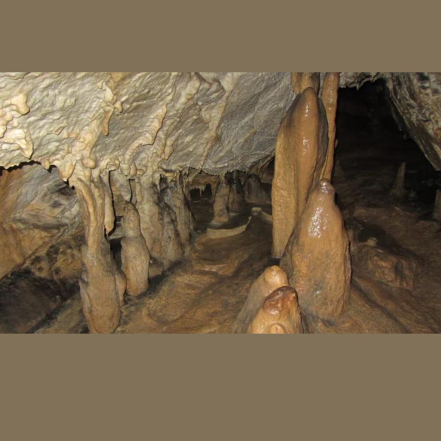 3 Familieneintritte für die Ötscher Tropfsteinhöhle