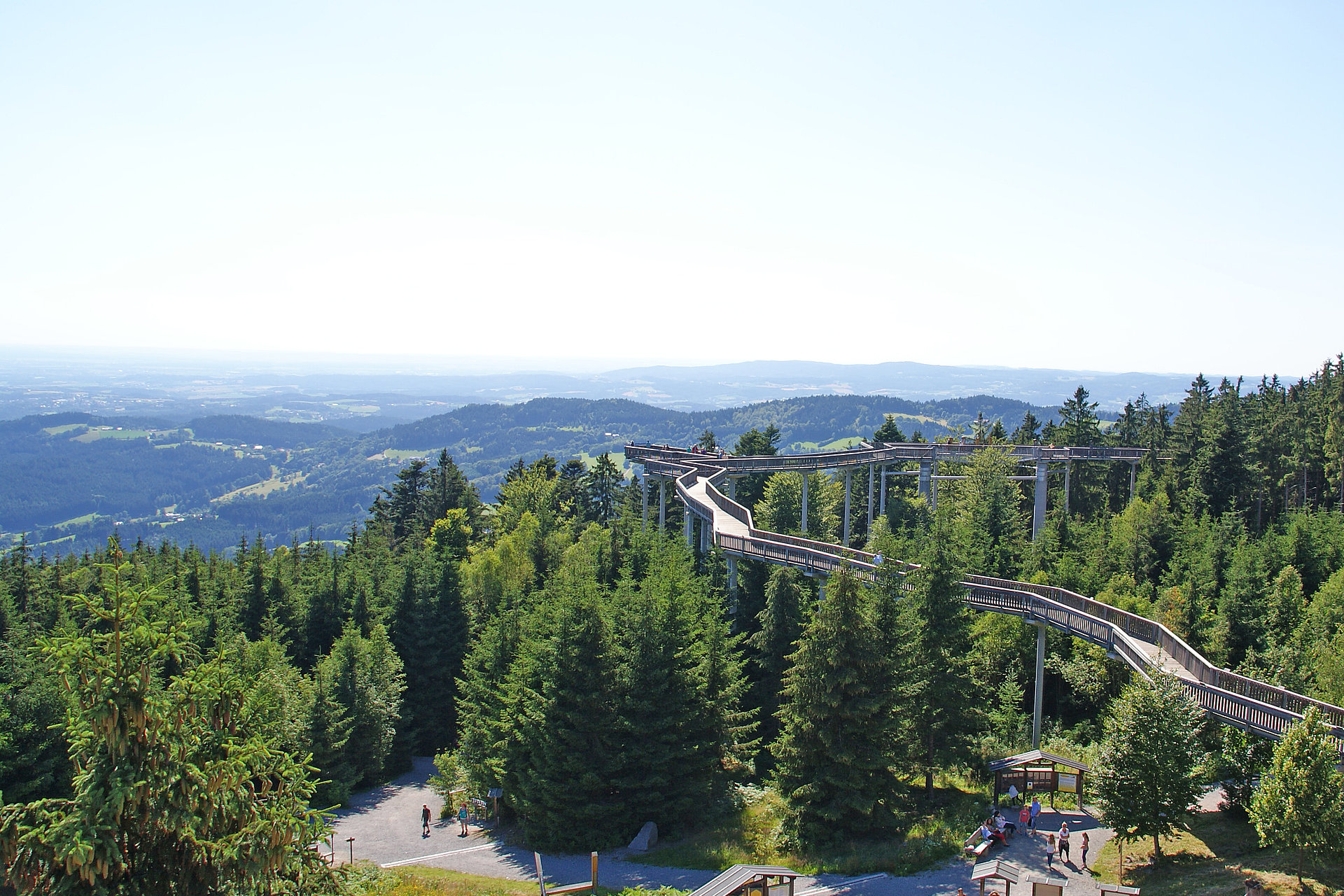 Waldwipfelweg