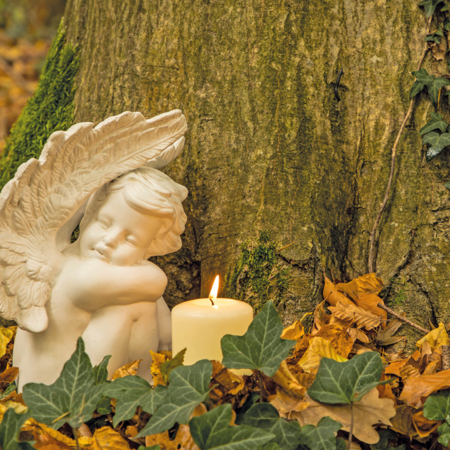 Asche zu Asche, Staub zu Staub - Traditionelle und moderne Bestattungsformen