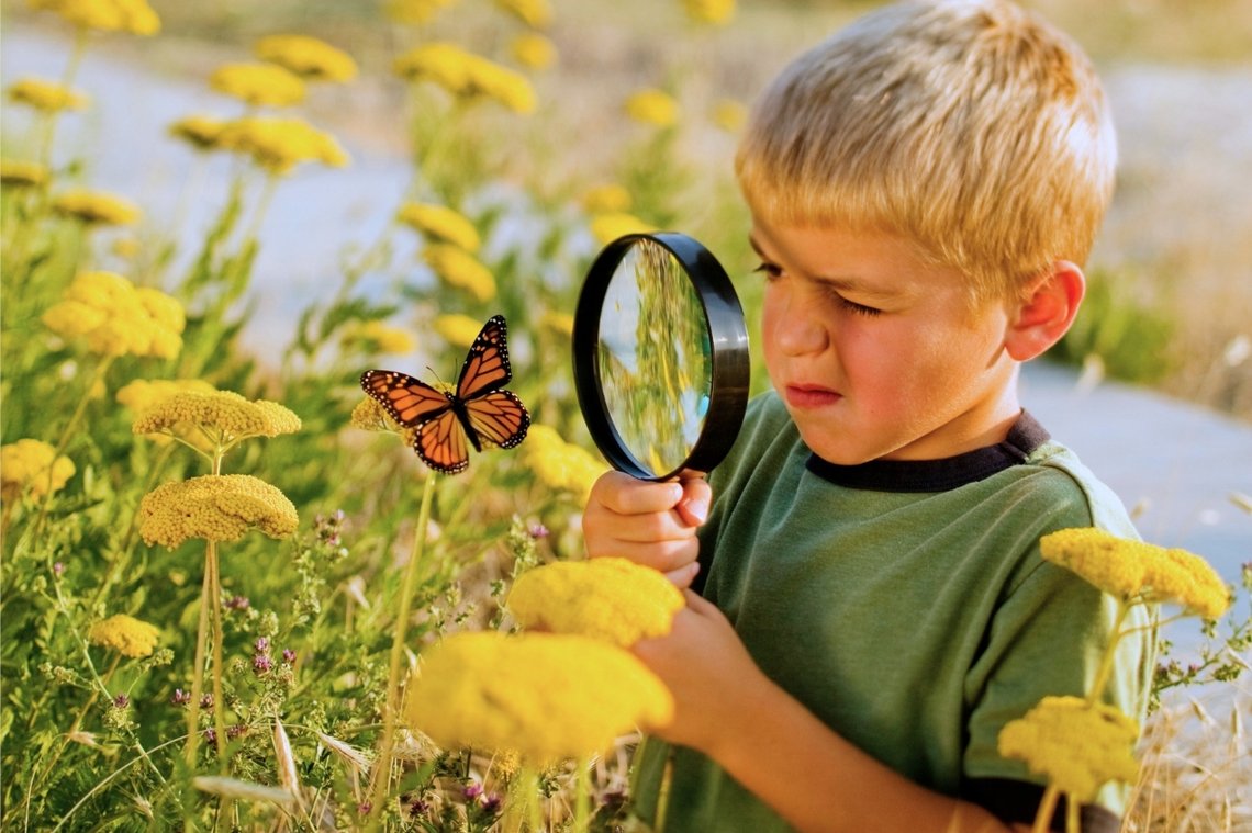 Junge beobachtet Schmetterling