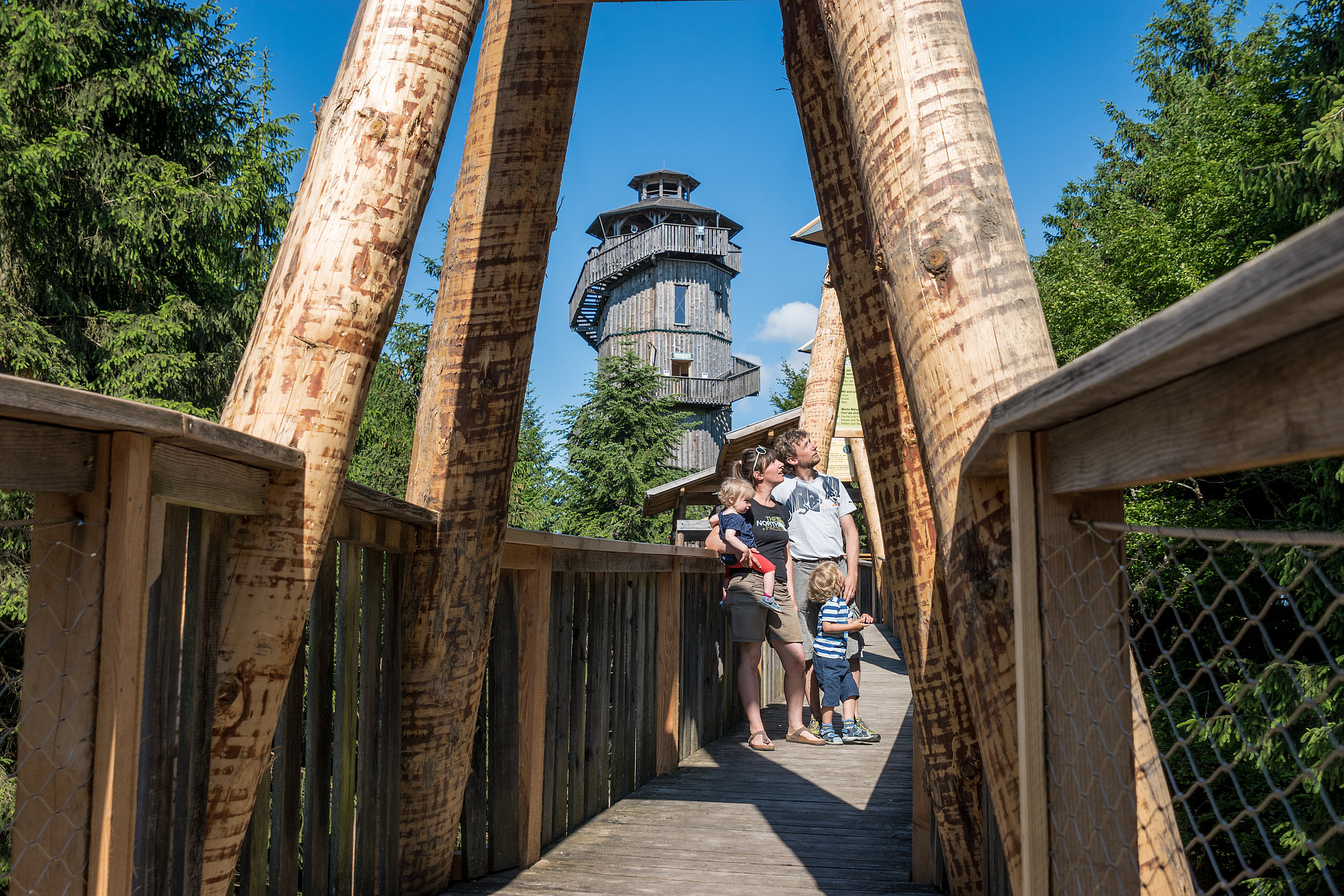 Baumkronenweg Kopfing MoreFAMILY