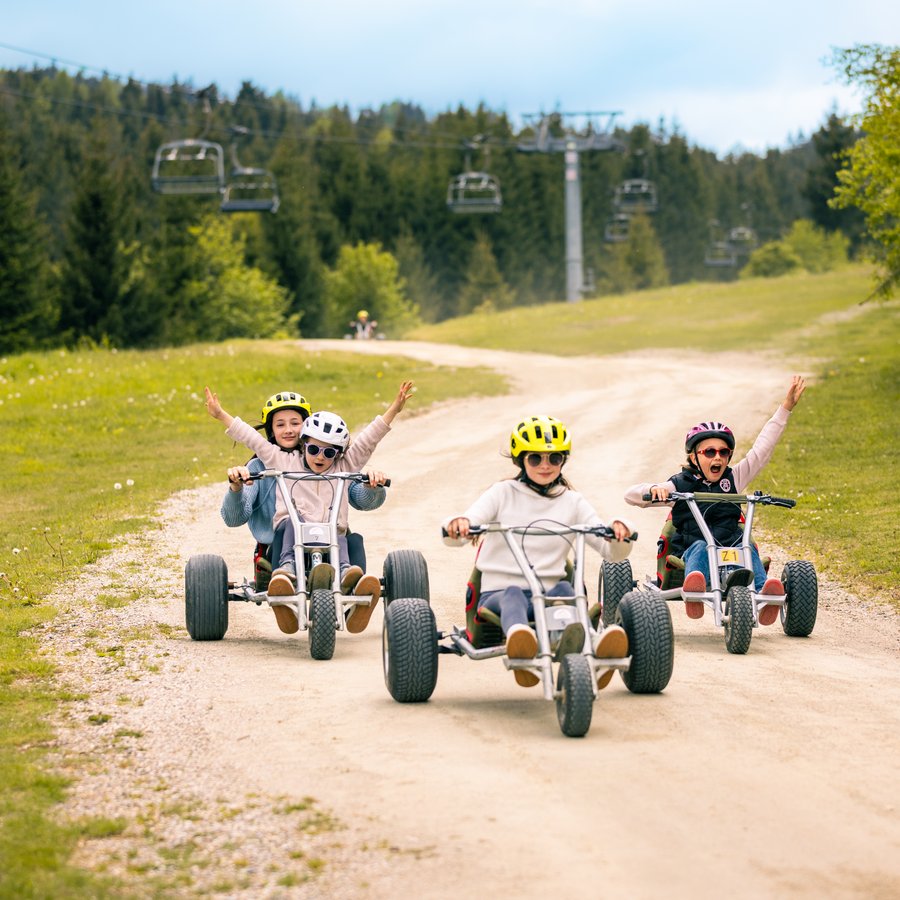 Erlebnisalm Mönichkirchen - Sessellift, Mountaincartbahn und Schaukelweg