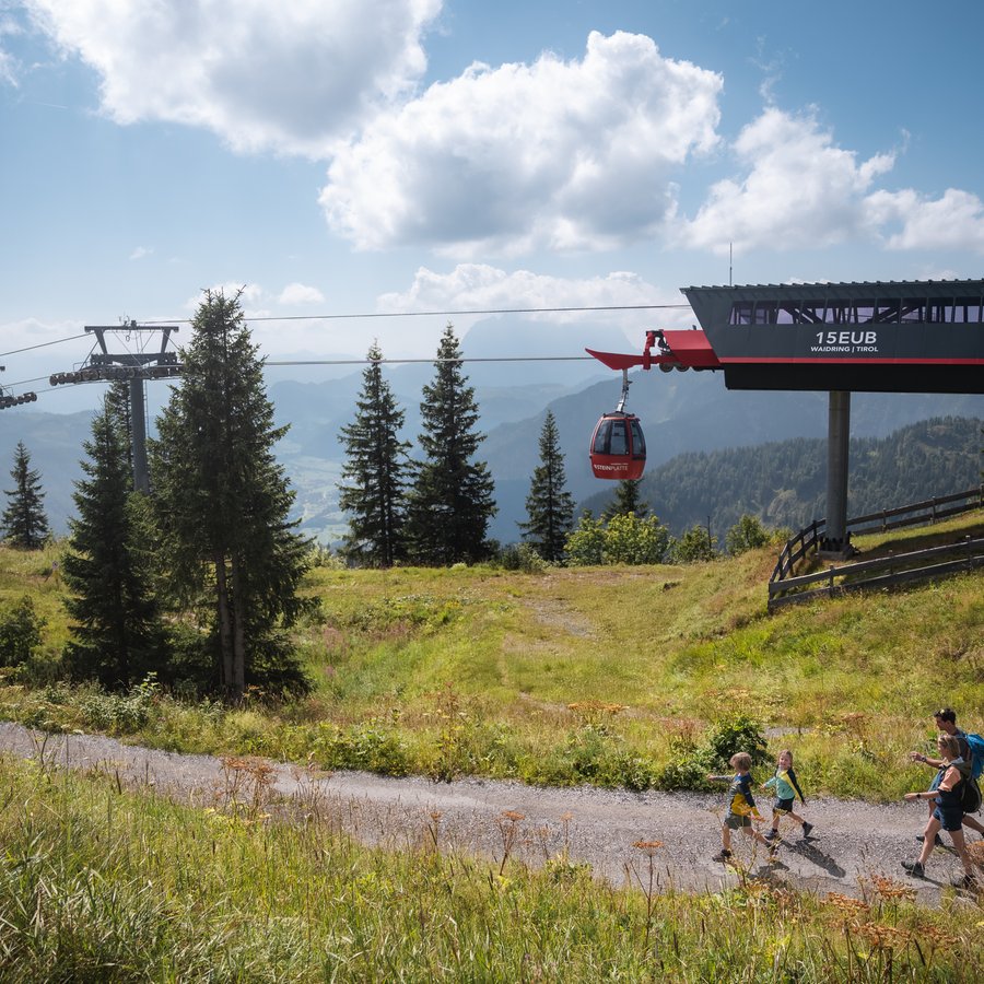 Der Sommer gehört den Urzeit-Entdeckern