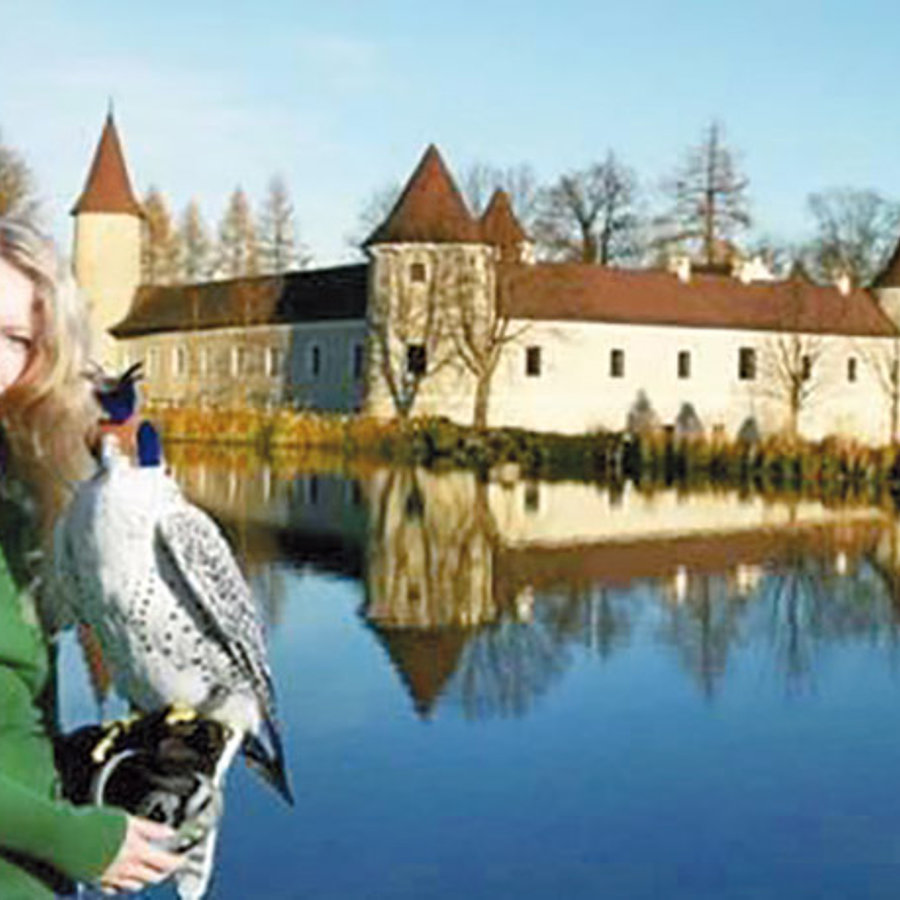 NÖ Falknerei- und Greifvogelzentrum - mit Eulenpark und Jagdfalkenhof